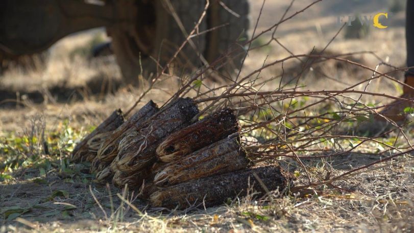 Next phase of environmental program starts in Armenia's Gnishik