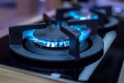 Armenian deputy PM says talks over Russian gas price continue