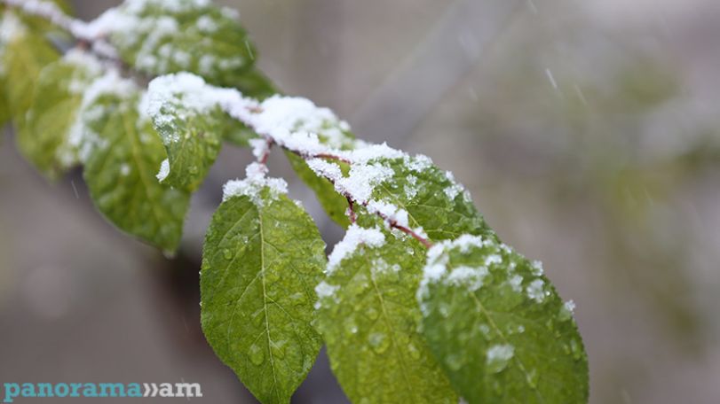 Rain predicted in Yerevan tomorrow