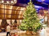 A hotel's £12 million Christmas tree in Spain could be world's most expensive
