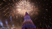 Yerevan New Year tree among three tallest in CIS capitals