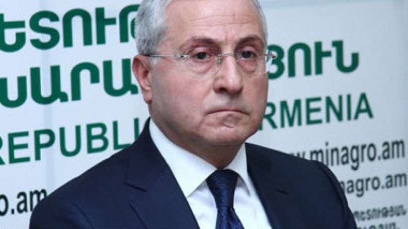 Armenia records progress in agriculture, official says 