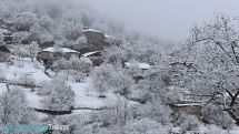Snow reported in number of regions in Armenia