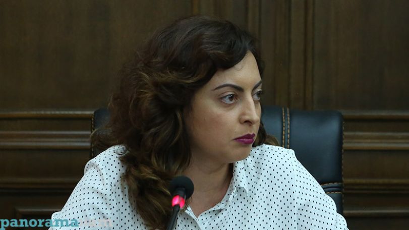 «Ինձ համար էլ ավելի թանկ է վարչապետի դստեր կողմից մտքի ազատ ինքնարտահայտումը». Լենա Նազարյանի գրառումն ու մեկնաբանությունները
