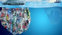 Plastic pollution: 'Hidden' chemicals build up in seabirds