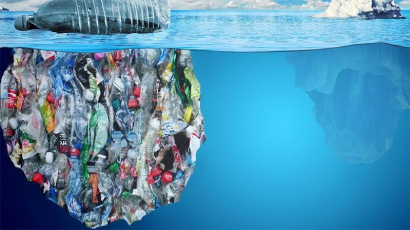 Plastic pollution: 'Hidden' chemicals build up in seabirds