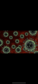 Georgia reports first coronavirus case in country