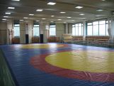 Молодежный чемпионат Армении по греко-римской борьбе отложен