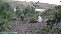 Գյուղացու մոտ ճգնաժամ է, հավատի կորուստ. ֆերմեր
