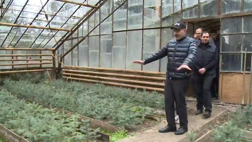 Никол Пашинян: В Армении уже посажено столько деревьев?