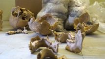 Archaeologists discovered children’s skeletons at Artanish excavation site