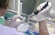 262 coronavirus tests performed in Armenia so far