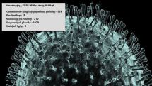 Armenia's coronavirus cases rise to 329 as of March 27