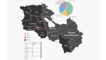 Number of confirmed cases of coronavirus in Armenia by regions