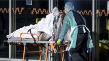 Netherlands confirms 1,316 new coronavirus cases in 24 hours bringing total to 24,413