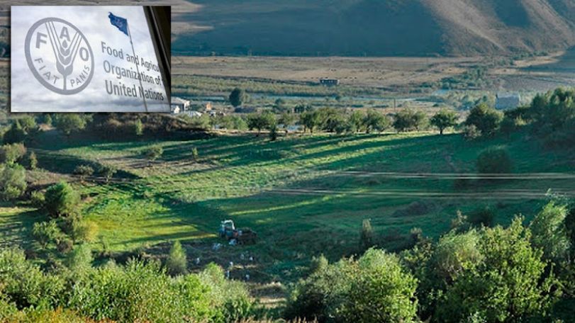 FAO addresses agricultural land abandonment in Armenia