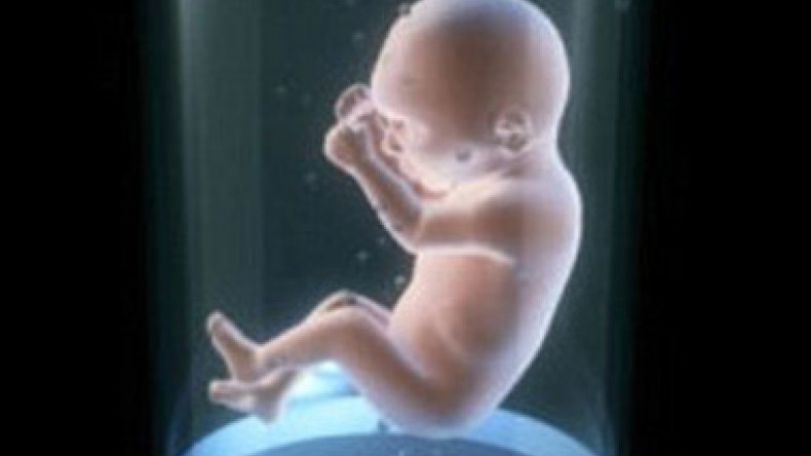 Artificial wombs could be widely used in 30 years    