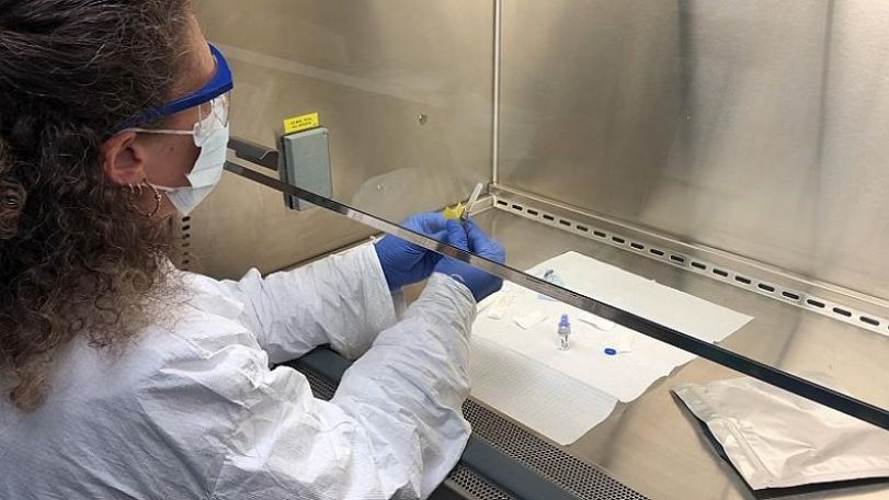 Human coronavirus vaccine trials to start this week in the UK
