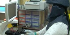 В Швейцарии выявлено свыше 30 тысяч случаев заражения COVID-19