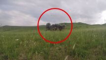 Artsakh army successfully tests combat drone, serial production expected