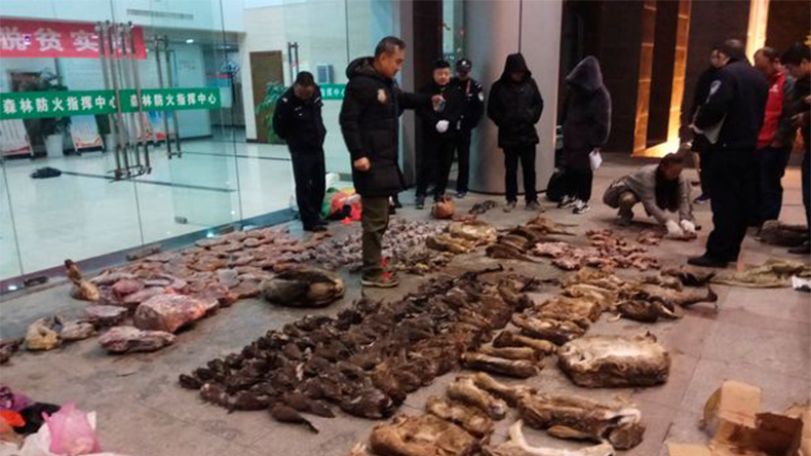 China offers farmers cash to give up wildlife trade