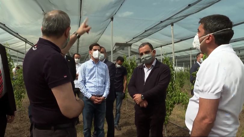 Փաշինյանը ծանոթանում է գյուղատնտեսական աշխատանքներին