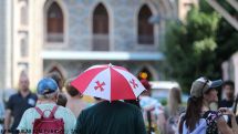 Грузия предложит Всемирной туристической организации свои правила безопасности