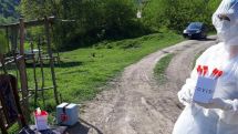 Artsakh reports three new coronavirus cases
