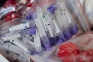 Worldwide coronavirus cases reach 6.4 million as deaths near 381,000