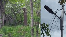 Viva-MTS: Street lighting system installed at Hamo Sahyan's birthplace