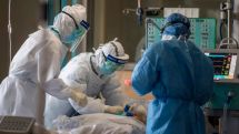 Russia's COVID-19 cases near 450,000
