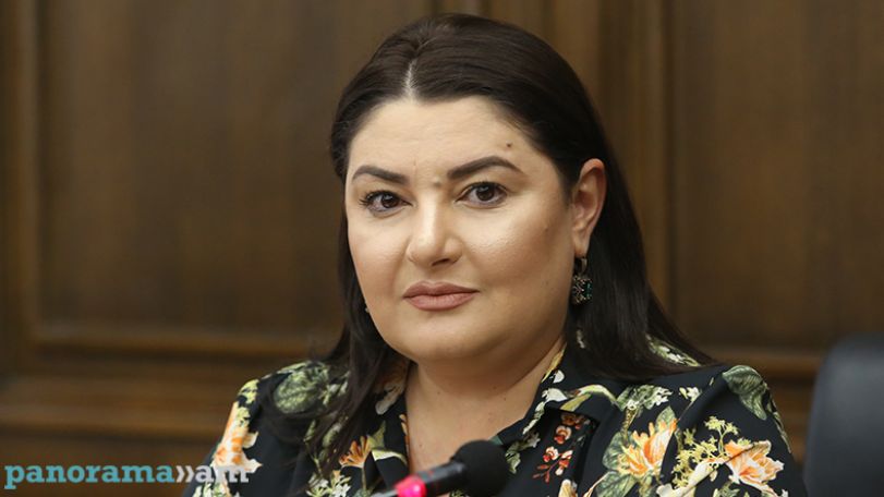 Ի. Տոնոյան. Իշխանությունն ազդարարում է՝ պատերազմ է հայտարարում ոչ թե կորոնավիրուսին ու աղքատությանը, այլ՝ ընդդիմությանը
