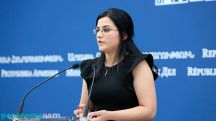 Armenia's health authorities have asked int'l organizations for support in coronavirus fight – spox