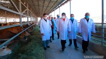 The provision of pedigree animals should be made more affordable - Artsakh president