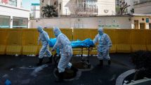 Global coronavirus cases exceed 8.4 million