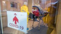 В Бельгии число смертей от COVID-19 упало почти на 50%