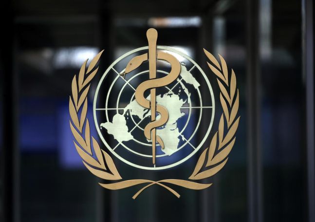WHO advance team on way to China to set up probe into virus origin