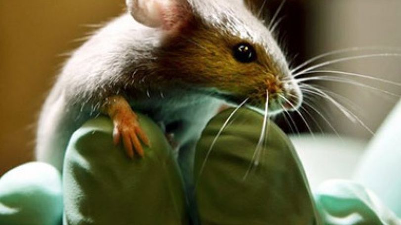 New study identifies why some deal with stress better