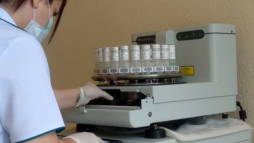 State-sponsored program to treat breast cancer with Herceptin underway in Armenia