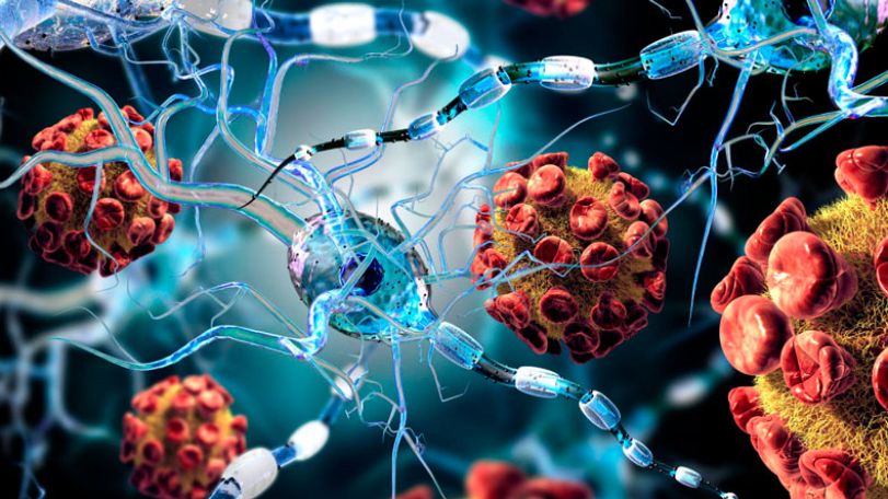 Regeneron says antibody cocktail prevents and treats COVID-19 in animals