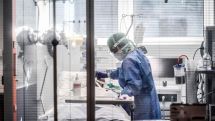 За сутки в Грузии выявлено 5 новых случаев коронавируса