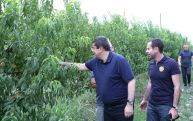 В Арцахе построят новые многоквартирные дома