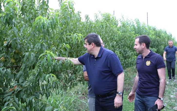Artsakh president toured construction sites of multi-apartment buildings in Askeran town