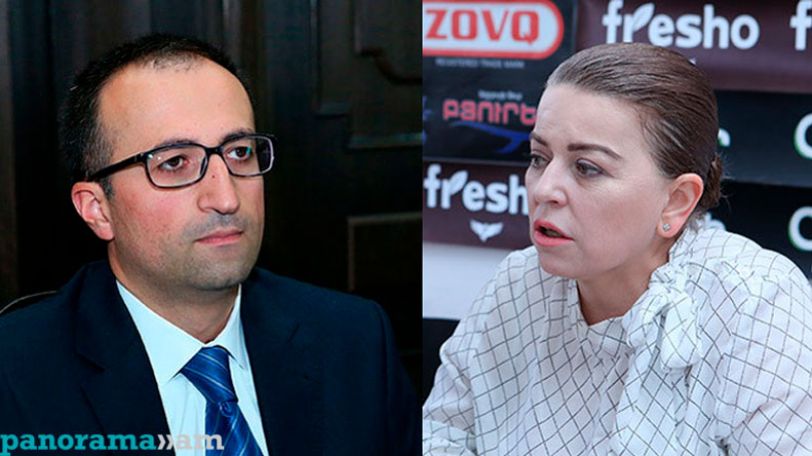 Նունե Ներսիսյան. Թորոսյանի համար առողջապահությունը բիզնես է