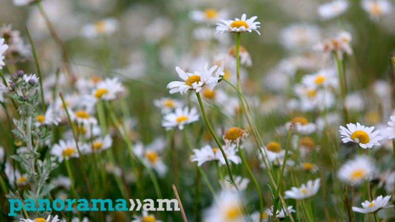 Air temperature to gradually go up in Armenia