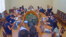 ԱԺ հանձնաժողովը միաձայն մերժեց աբորտն արգելող հանրագիրը