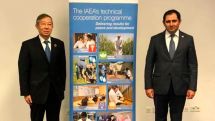 Armenian minister, IAEA deputy head discuss extension of NPP’s operating lifetime