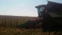 Չնայած պատերազմին՝ Արցախում բերքահավաք է