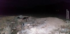 Artsakh forces thwart new Azerbaijani attack attempt in southeastern direction