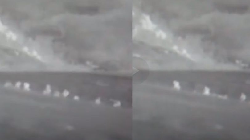 New footage shows destruction of Azerbaijani subversive group